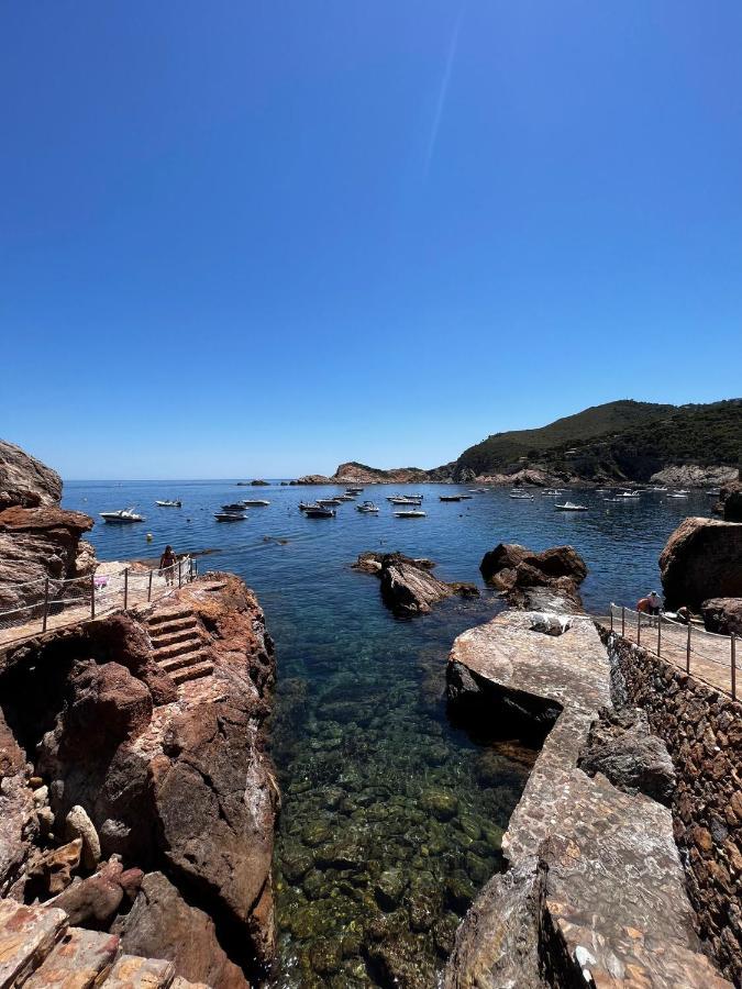 Cap Sa Sal Suites -Apartament Begur - Costa Brava ภายนอก รูปภาพ